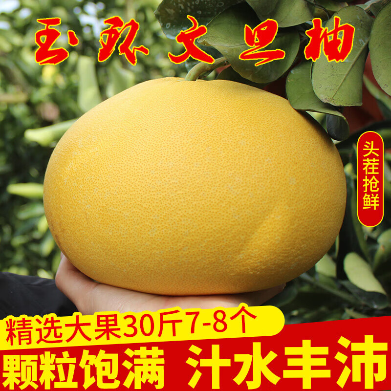 玉环精品文旦柚子当季孕妇新鲜水果蜜柚浙江台州楚门特产现摘 9斤精选