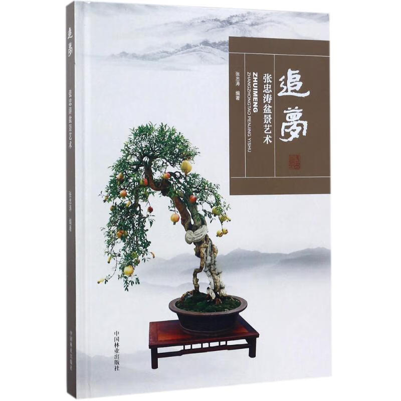 追梦