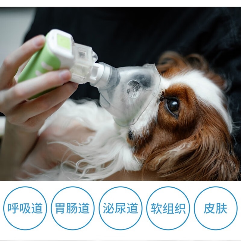 宠贝蒂兽药兽用庆大霉素注射液宠物犬猫兔牛羊猪腹泻拉稀肠道病黄白