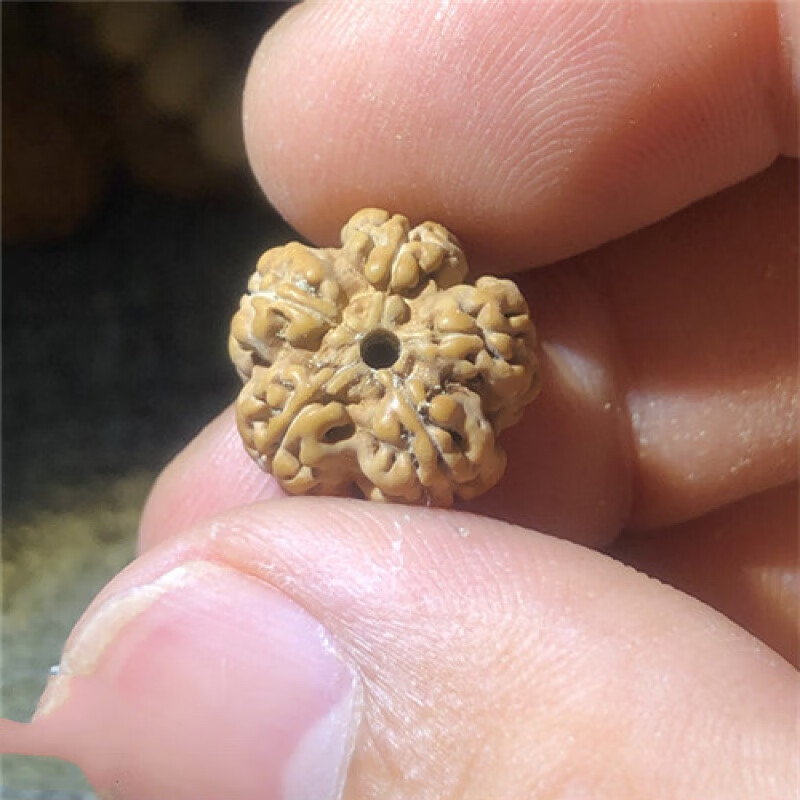 大小金刚菩提子手串佛珠梅花双龙单圈树神南瓜树王蜂窝王男女寓意礼物