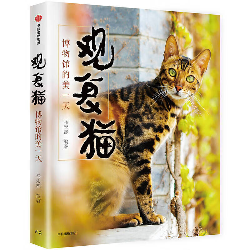 观复猫 博物馆的美一天