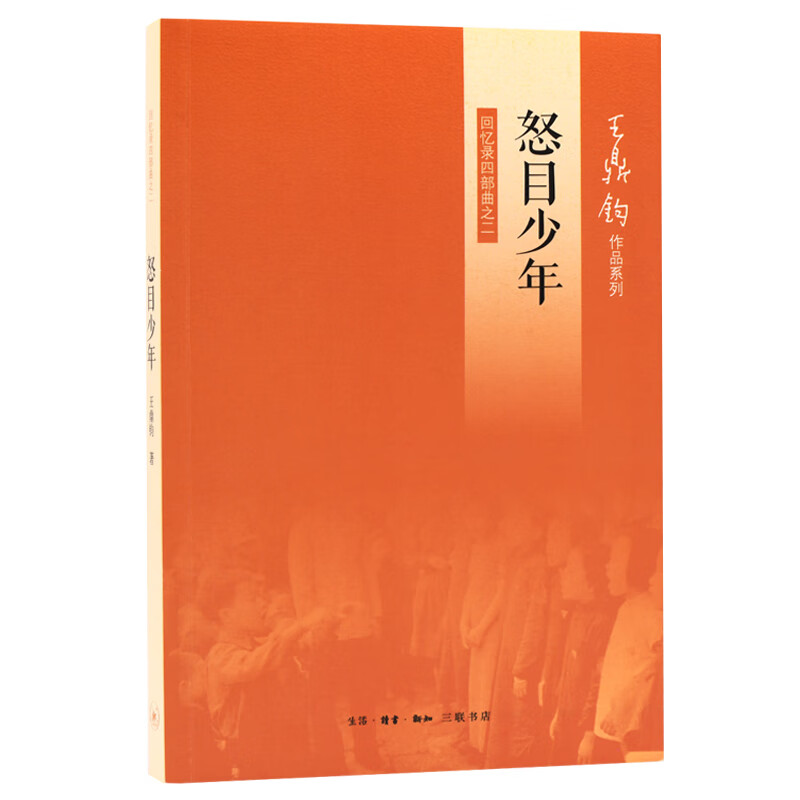 王鼎钧作文系列图书： 王鼎钧·怒目少年