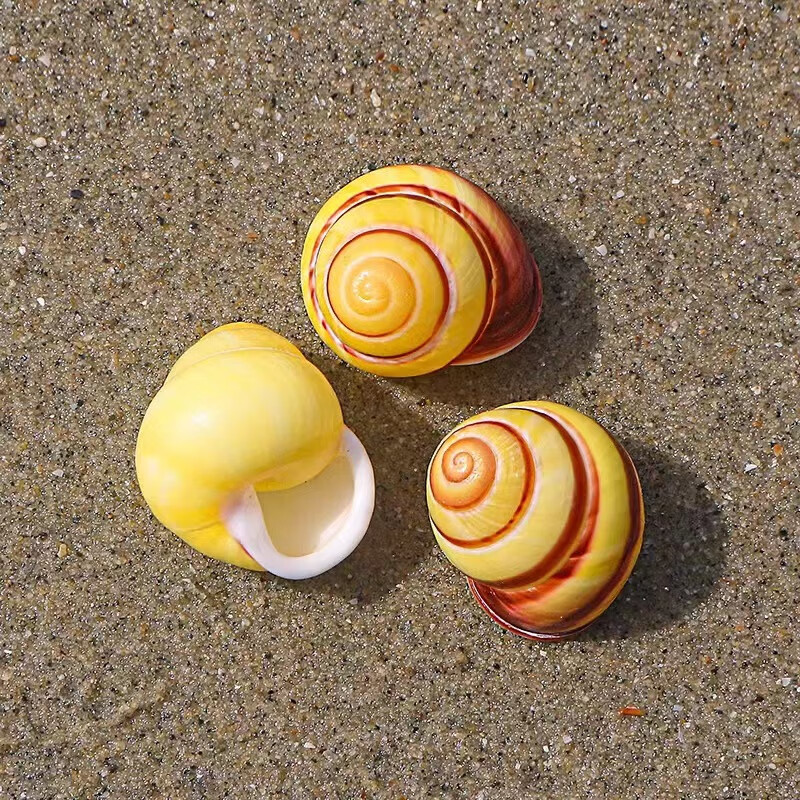 珊野蜗牛螺天然海螺贝壳左旋螺标本鱼缸造景水族装饰寄居蟹替换 黄田
