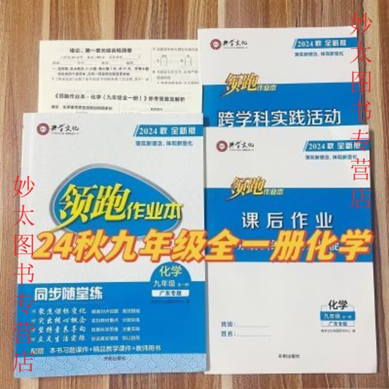 2024秋全新版典学文化领跑作业本九年级全一册化学同步练习 2024秋