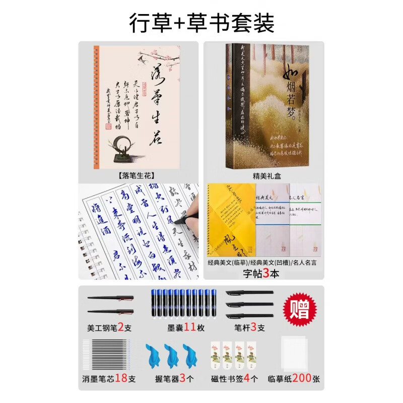 行草字帖成人练字成年男行书专用钢笔硬笔书法本女生漂亮手写大气初学者练习写字贴速成字体大学生圆珠笔草书临摹连笔字入门练字帖 行草+草书套装(赠钢笔一套)