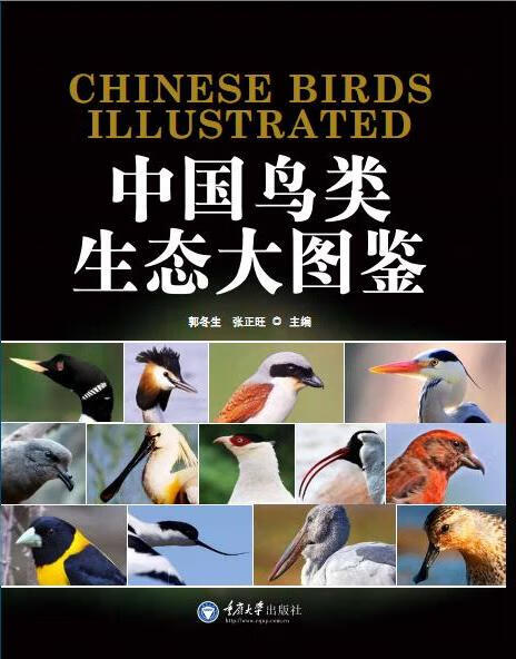【新华书店】中国鸟类生态大图鉴 郭冬生,张正旺主编 重庆大学出版社