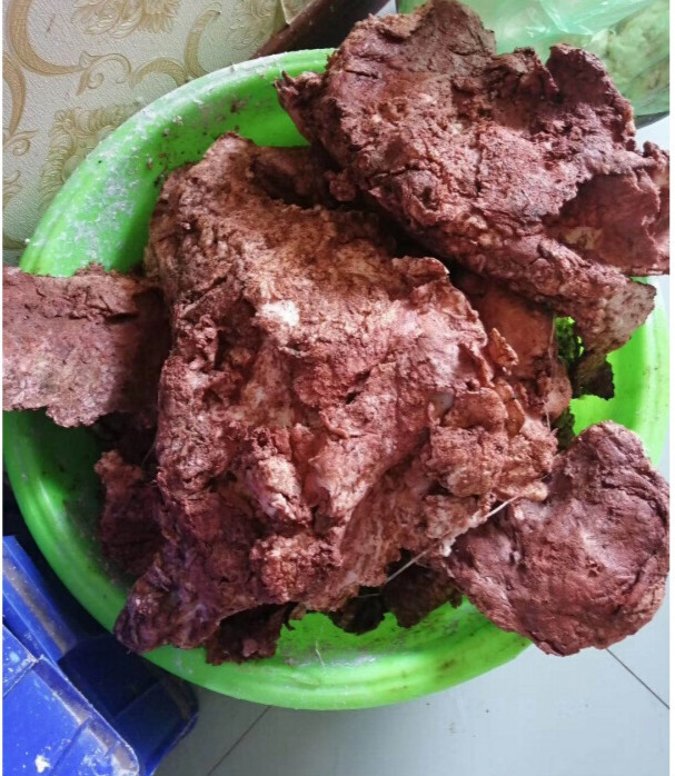 【太岁老店】长白山纯野生整体千年活体石太岁太岁肉灵芝泡水养生