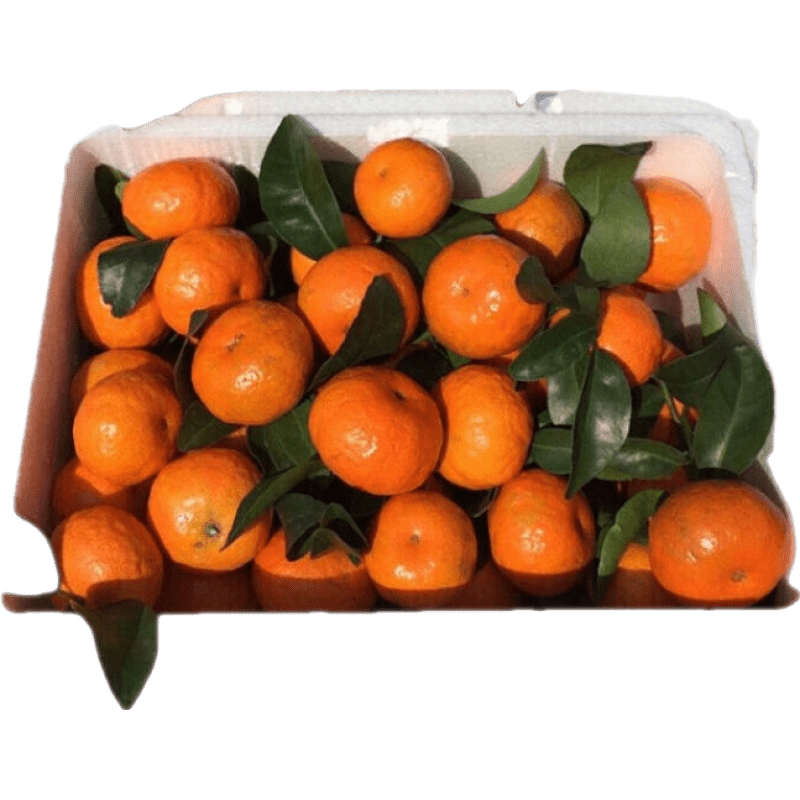 ����������ɰ����ɳ�ǽ���������ˮ������5/10�ﵱ���������Ѵ����� ��ѡ�ù� 5�� 53.9Ԫ