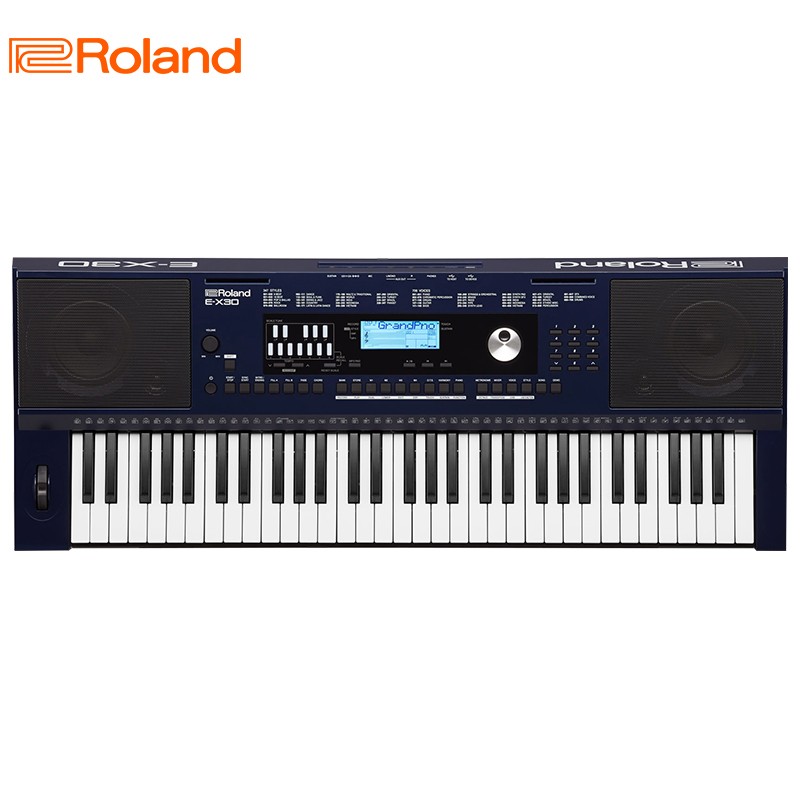 罗兰（Roland）E-X30电子琴 专业演奏智能弹唱61键多功能编曲键盘 双电模式电子琴 蓝黑色