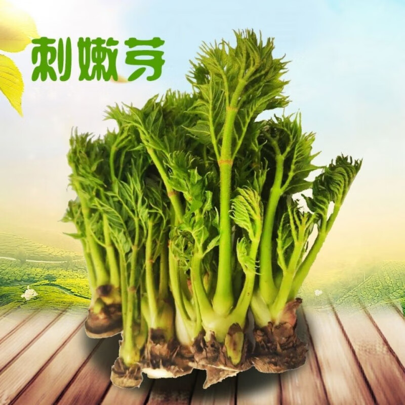 【京选】丹东新鲜刺嫩芽东北特产刺老芽山野菜龙芽菜蘸酱陆地山菜采摘
