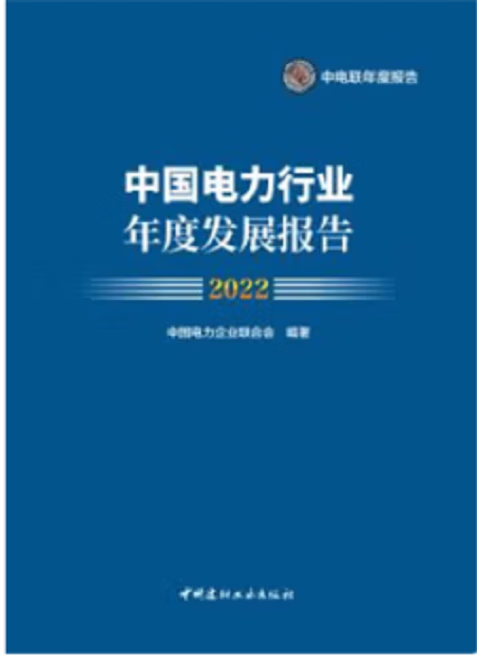 2023年中国电力行业年度发展报告2022现货