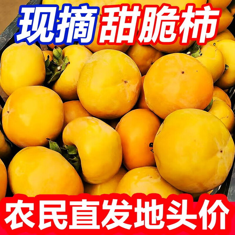 张小壮 广西脆柿甜柿子 独立真空包装 新鲜巧克力脆柿 4.5-5斤 新鲜水果高性价比高么？