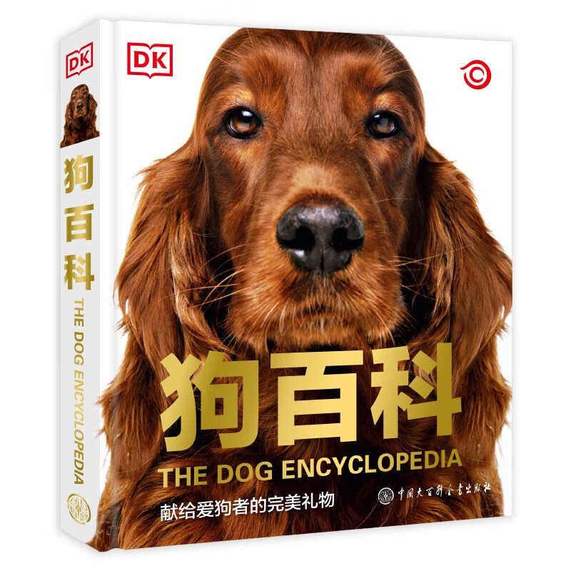 DK狗百科属于什么档次？