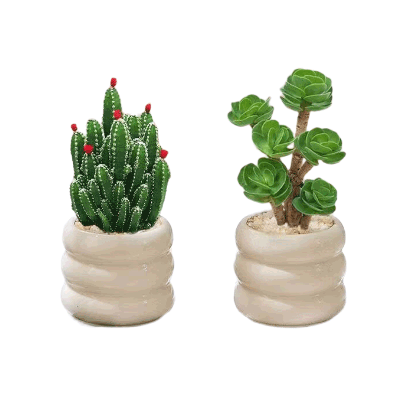 ֲֲ֮ ۲ɽ+Ǯľ+ɫȦմ Դͷֱ 30.9Ԫ