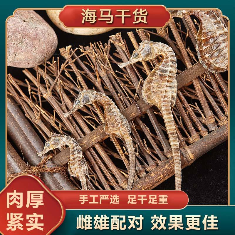 海马泡酒煲汤非中药材滋补养身养生补肾壮阳料一公一母 现晒足干公母