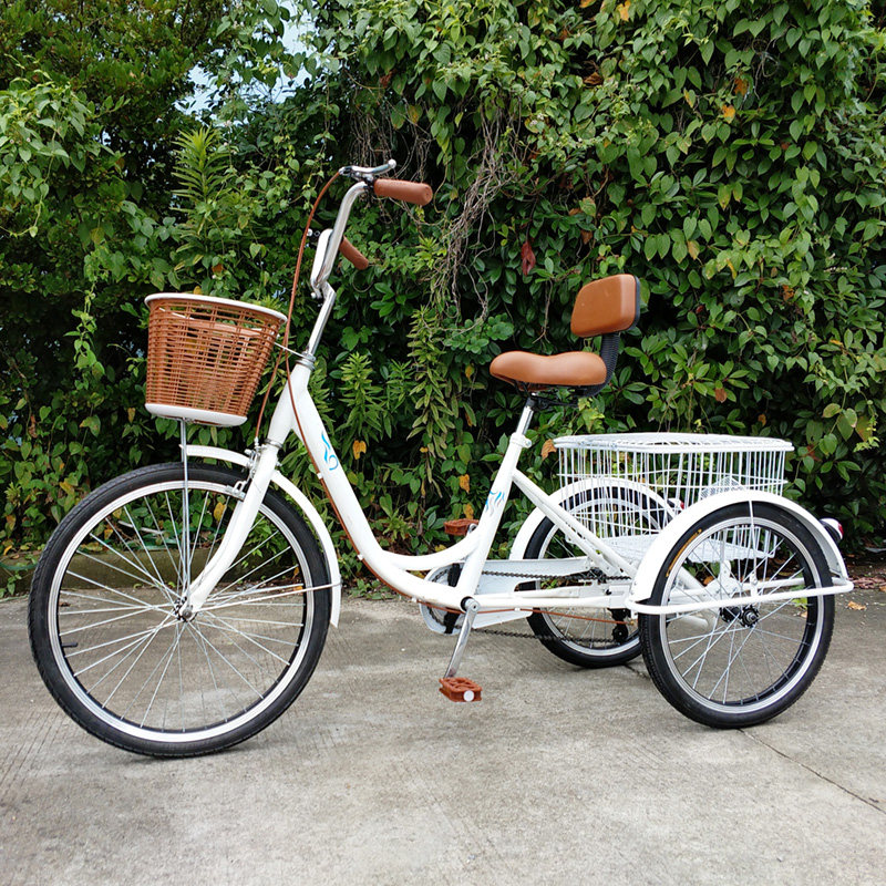 车成人中老年脚踏自行车老人脚蹬代步单车 前24后20靠背款单速白色