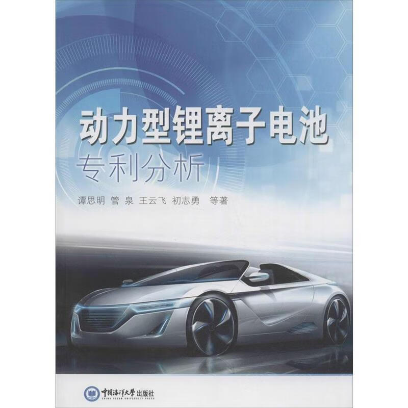动力型锂离子电池专利分析 谭思明,管泉,王云飞,初志勇 等 著 中国海洋大学出版社