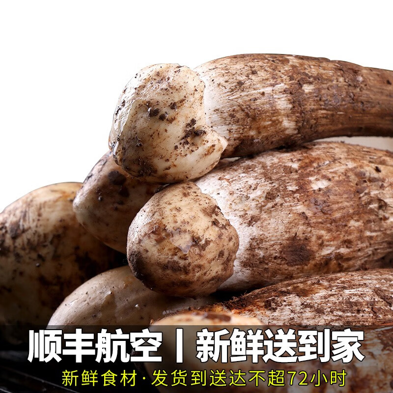 星云湖【现货顺丰】云南野生鸡枞菌 新鲜菌菇蘑菇名菌山珍时令中秋送礼 开伞鸡枞菌(适合炸油鸡枞)4斤