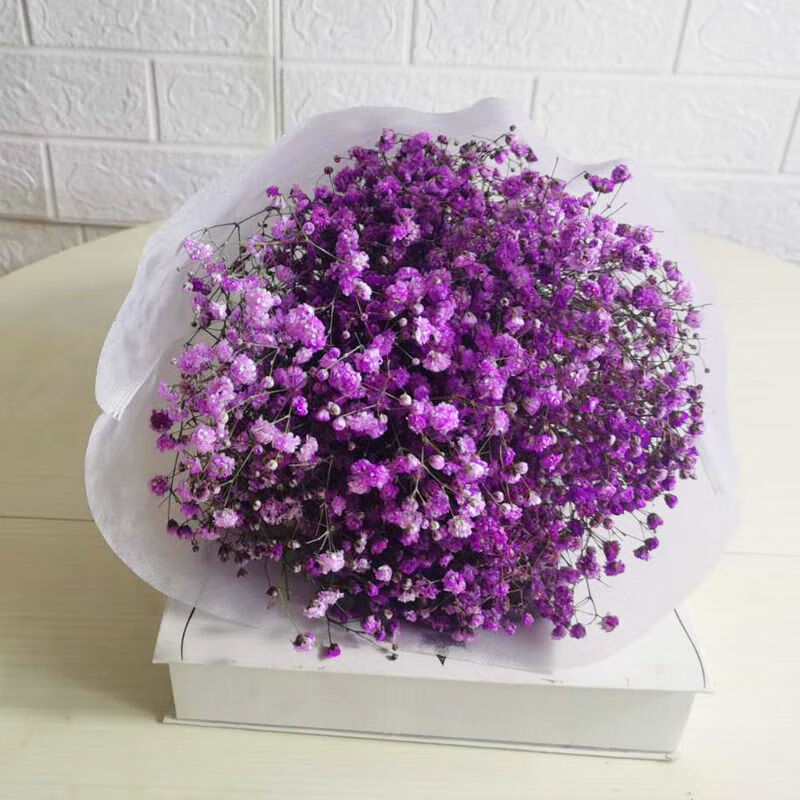 勿忘我干花花束家庭插花家居摆设满天星干花装饰摆件小清新 紫色满天