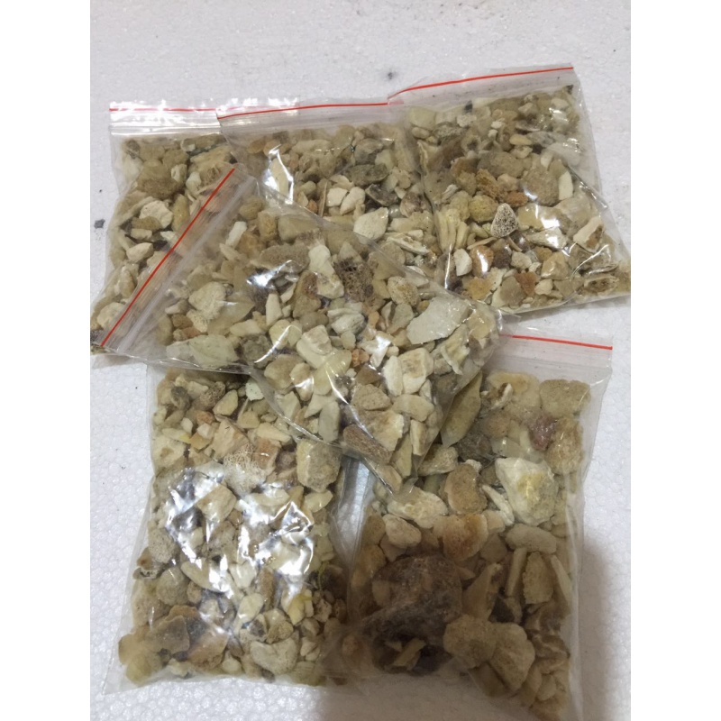 加减法君子兰肥料专用骨粉花卉营养土有机脱盐牛骨骨粒底肥腰肥大包装一斤装 虎窝购