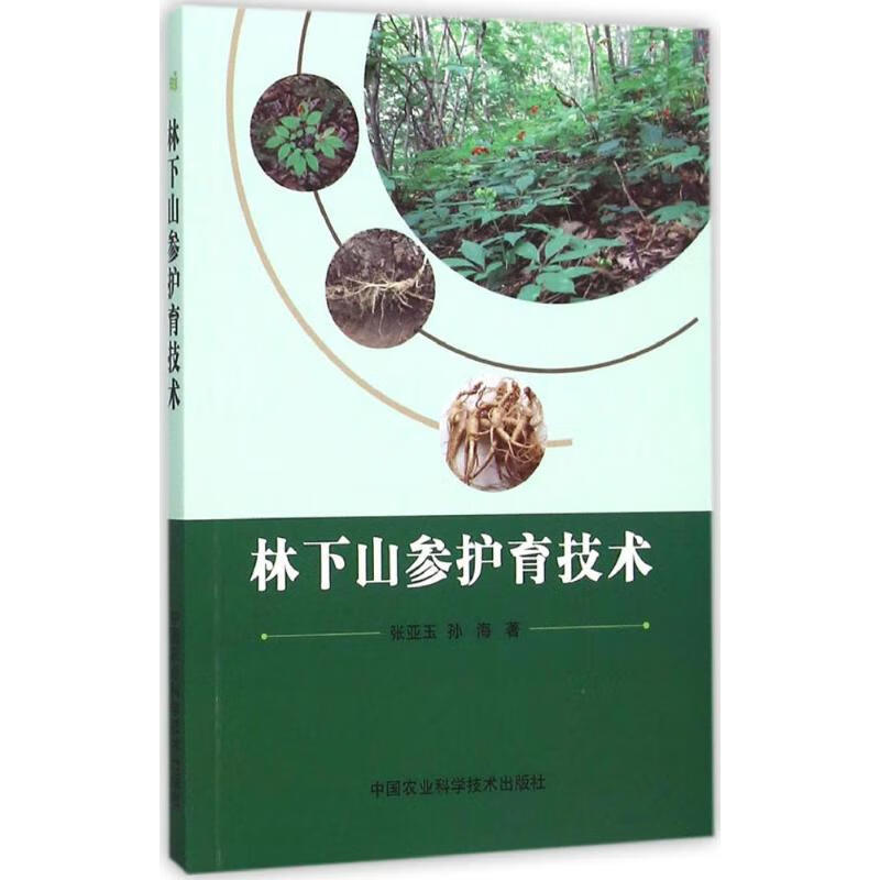 林下山参护育技术