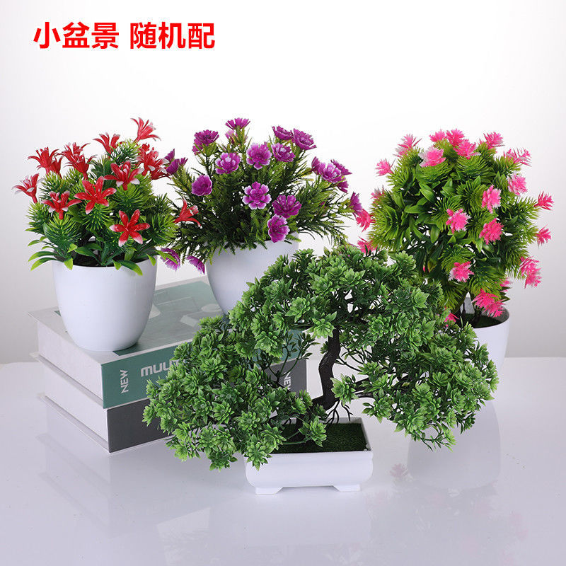 查看源网页