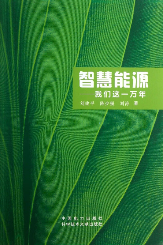 智慧能源--我们这一万年