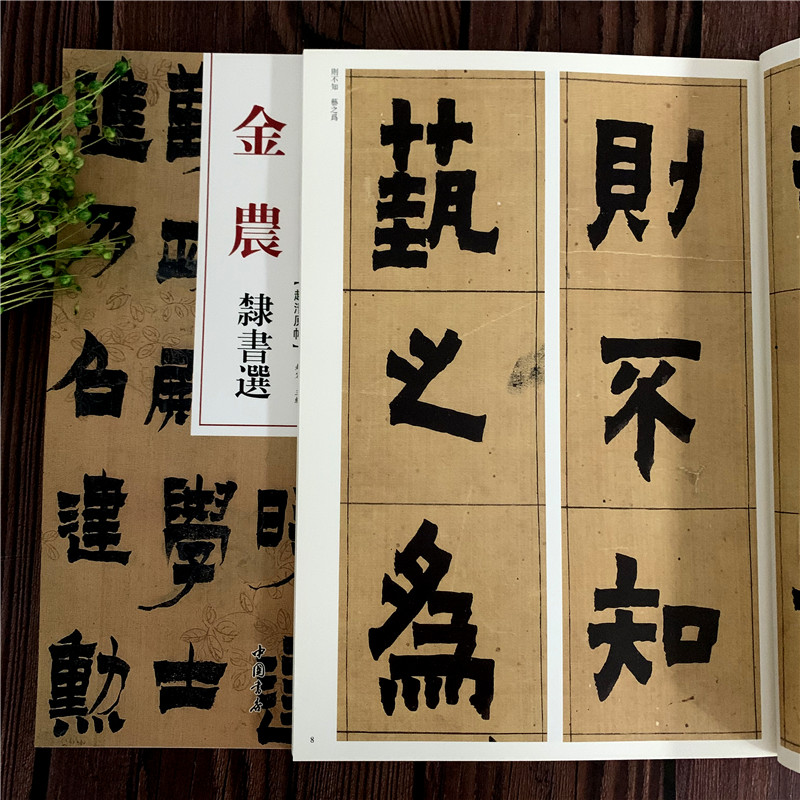 金农隶书选 毛笔软笔隶书临摹字帖附繁体旁注高清放大墨迹本 赵宏
