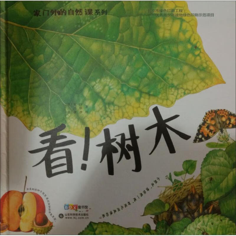 看!树木