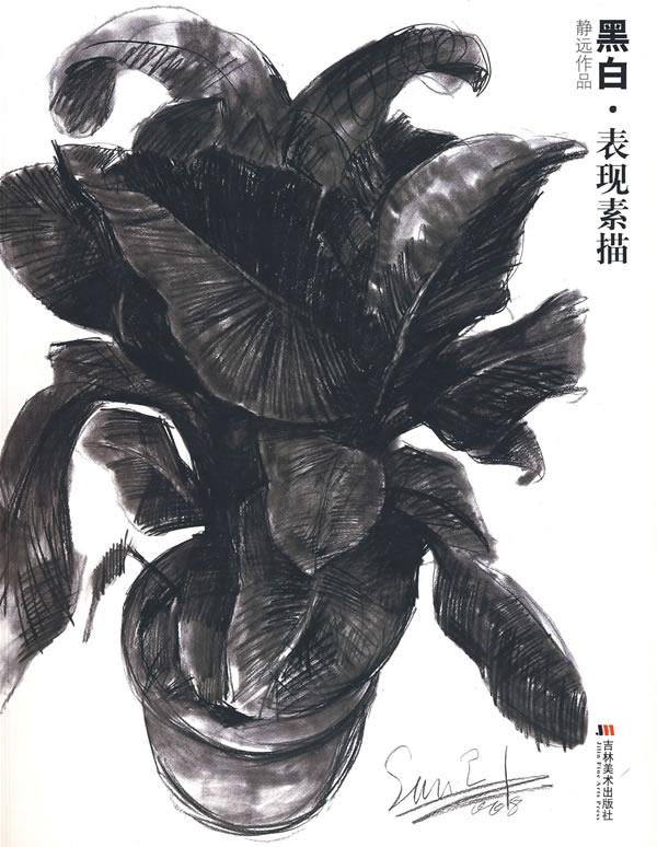 黑白·表现素描