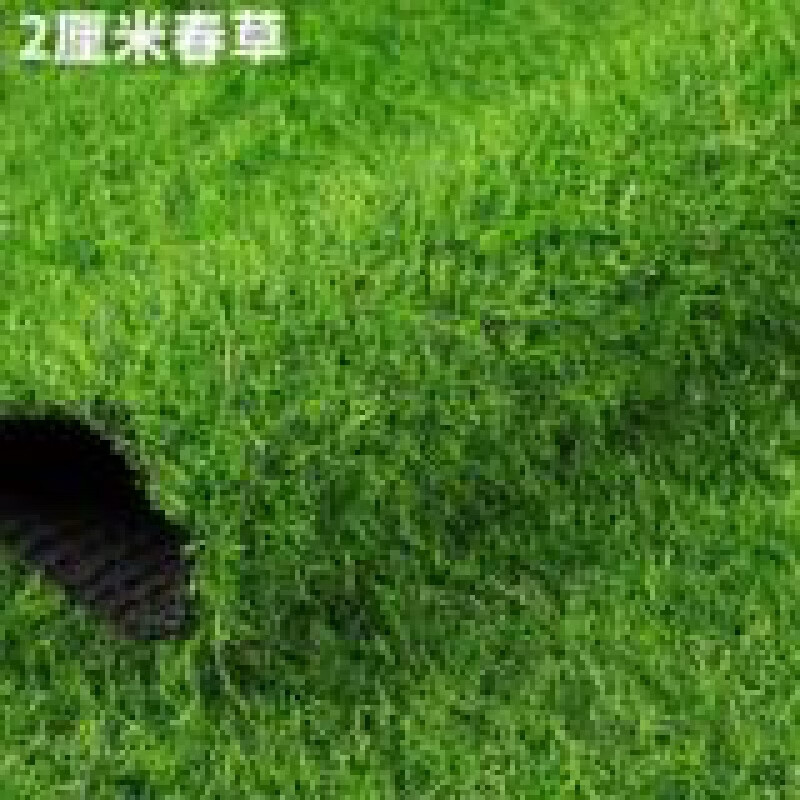 仿真草坪地毯人工假草皮人造塑料幼儿园户外足球场围挡绿色草铺垫 2