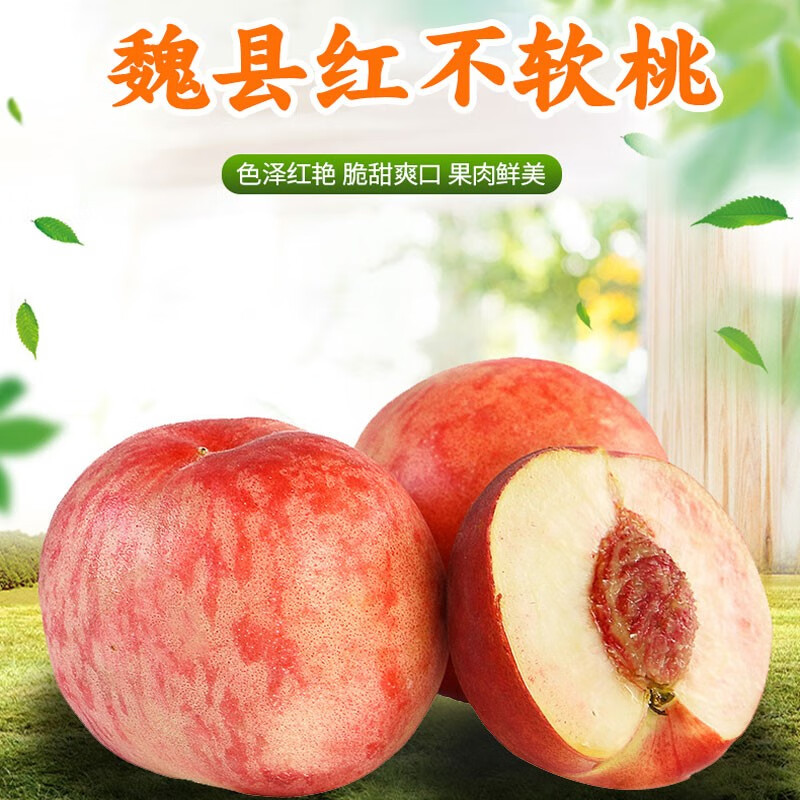 魏小梨魏县红不软桃邯郸特产红不软桃子5斤装 5斤装桃