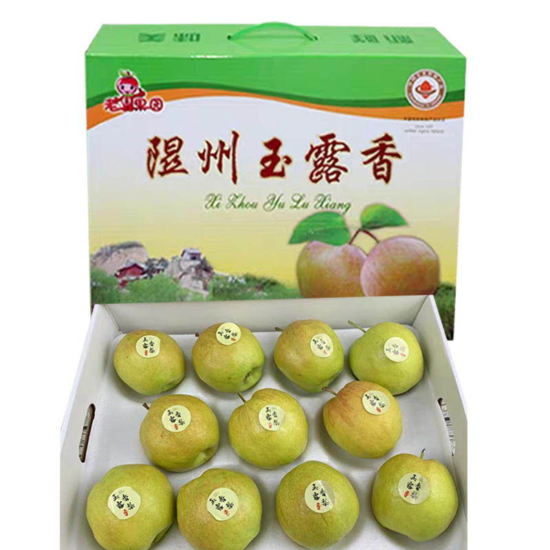 【顺丰】正宗山西隰县玉露香梨大果特大果当季新鲜梨子孕妇精品水果