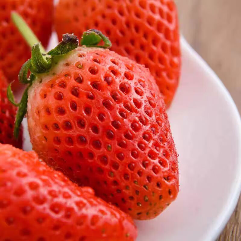 四川大凉山草莓 新鲜水果甜奶油草莓红颜99 生鲜鲜果礼盒送礼整箱 带箱3斤【净重2.5斤】中果