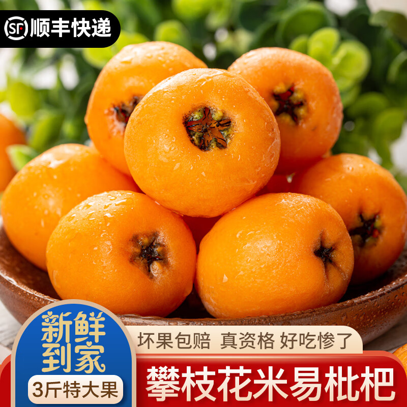 查枇杷价格历史|枇杷价格比较