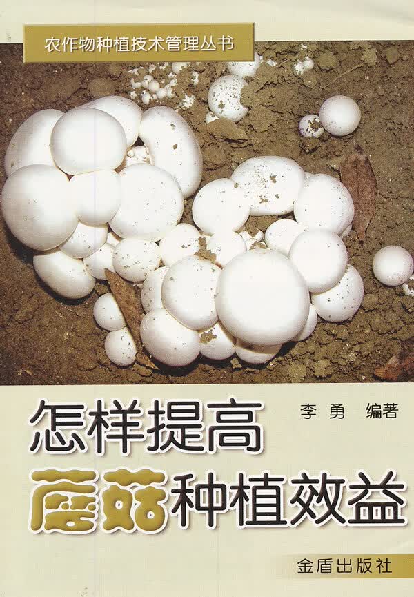 怎样提高蘑菇种植效益