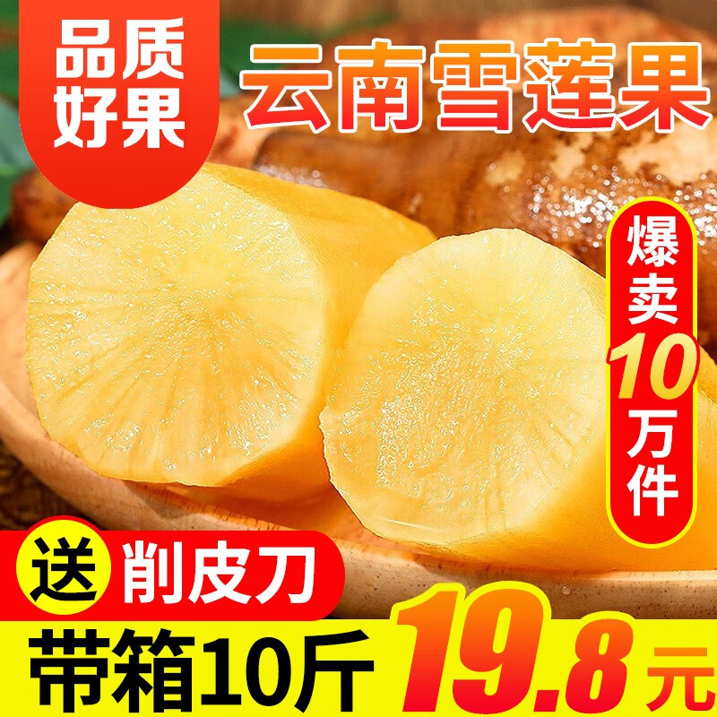 京愿 云南特产天山雪莲果 天山红泥沙雪莲果红心 新鲜水果 生鲜水果 带箱10斤装(净重9斤)