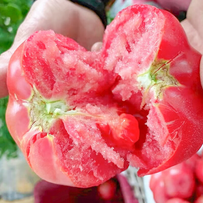 蔬菜类历史价格查询软件|蔬菜类价格历史