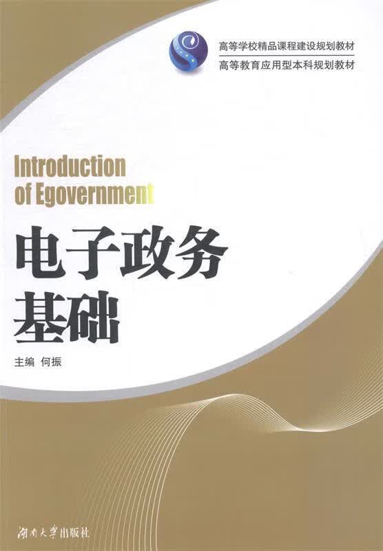电子政务基础 何振【正版书】