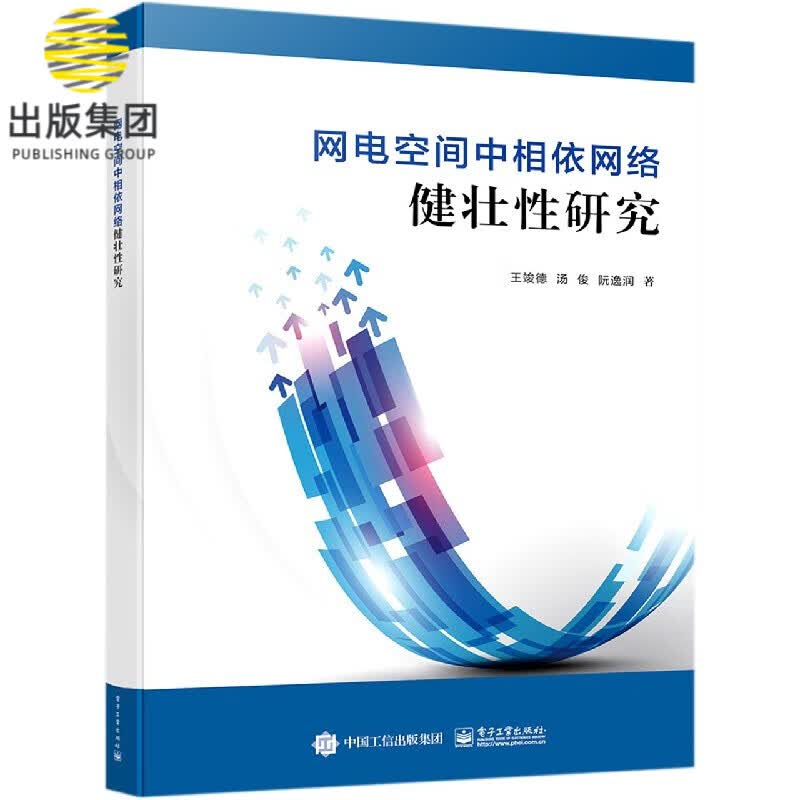 网电空间中相依网络健壮性研究