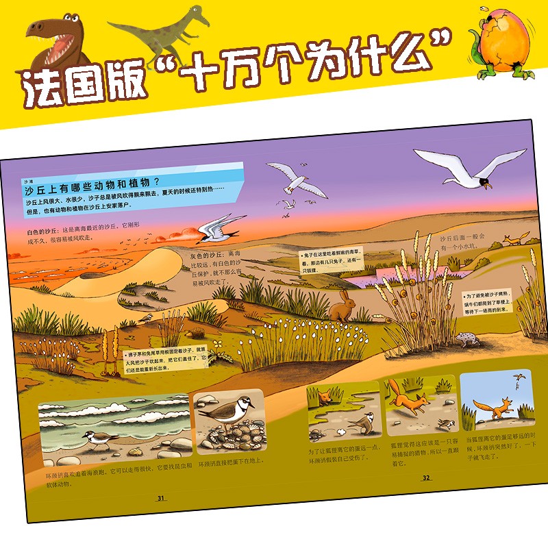 拉鲁斯趣味小百科：全4册（京东专供）（NEW)（点读版）X详情图