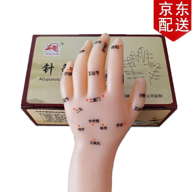 小儿推拿手部模型 经络穴位手诊按摩手穴手心手背 14cm针灸手部模型