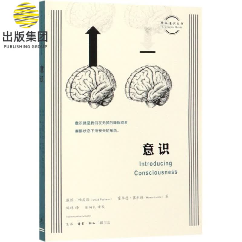 意识/图画通识丛书