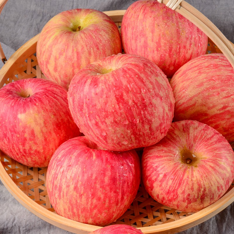 【脆甜多汁】新鲜陕西红富士苹果水果 新鲜水果 带箱约10斤 大果75mm以上
