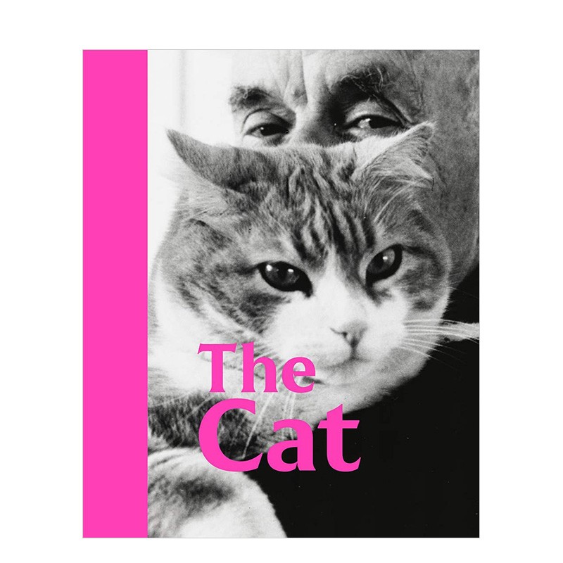 【现货】the cat猫 tate泰特现代美术馆收藏画作中的猫 英文原版艺术