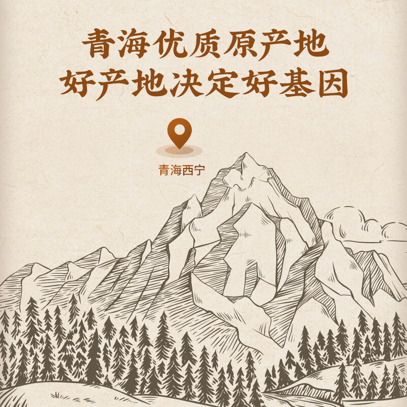 雷允上 麝香0.1g*10瓶 青海天然麝香开窍醒神活血通经消肿止痛消肿止痛 热病神昏中风痰厥 麝香0.1g*10瓶
