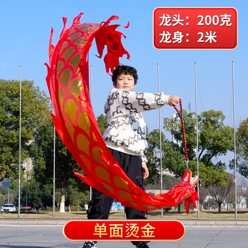 诗迦努舞龙彩带健身儿童甩龙广场舞道具龙头全套中国龙耍龙手舞龙带