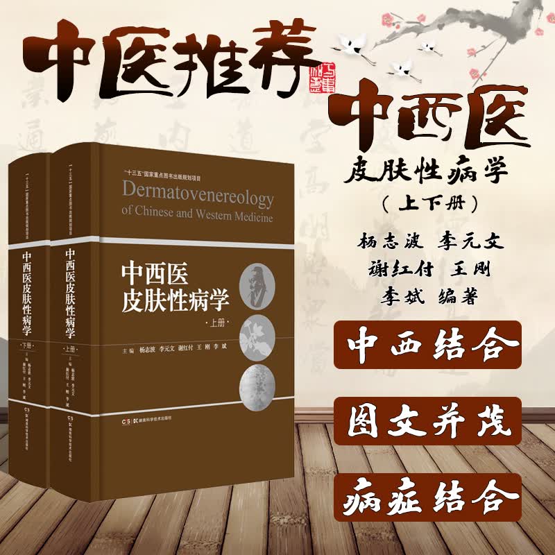 中西医皮肤性病学 上下册 湖南科学技术出版社