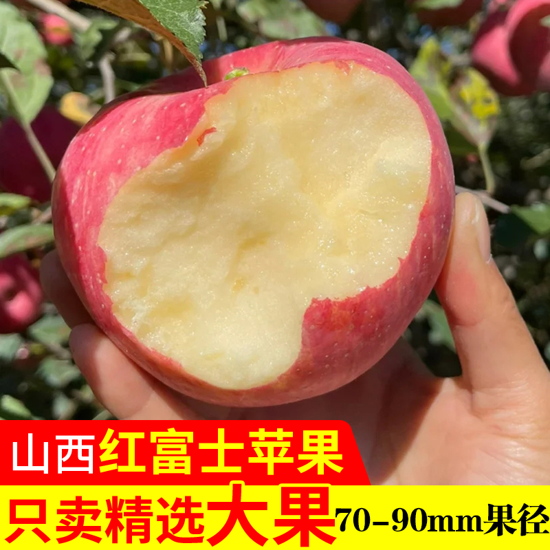 山西运城临猗红富士新鲜脆甜冰糖心丑苹果10斤水果整箱当季 9斤 70mm