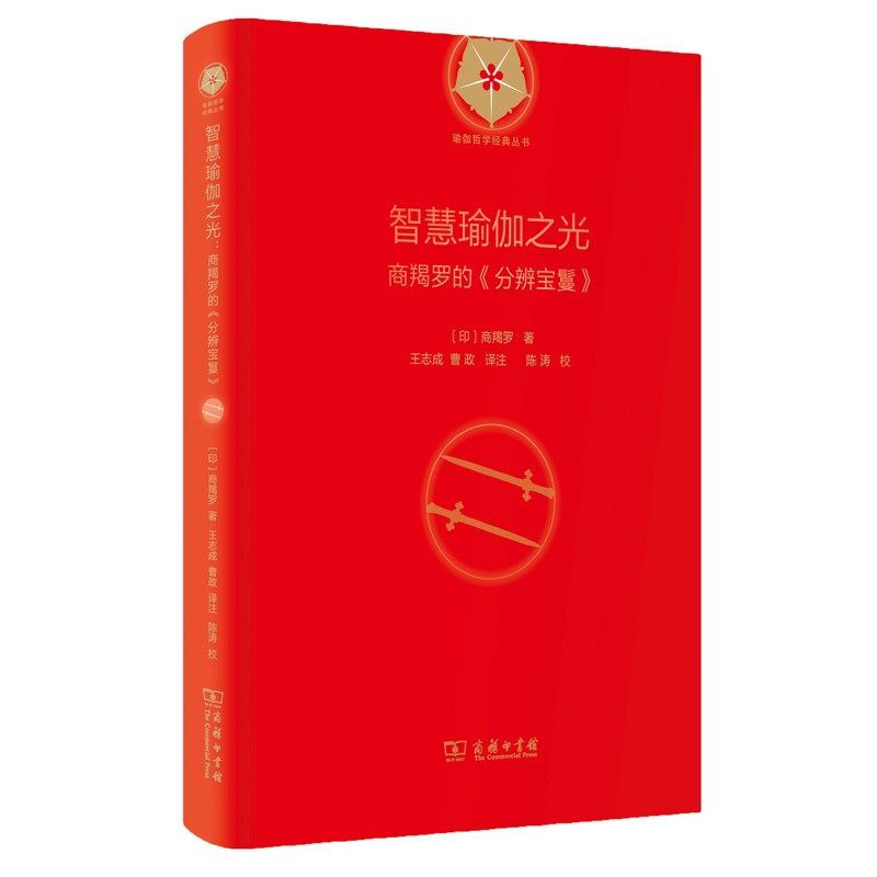 智慧瑜伽之光：商羯罗的《分辨宝鬘》（瑜伽哲学经典丛书）
